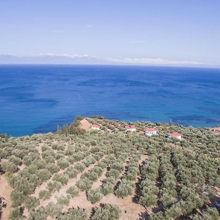 Вілла Κτήμα Παπαβασιλόπουλος 2 - Короні Екстер'єр фото