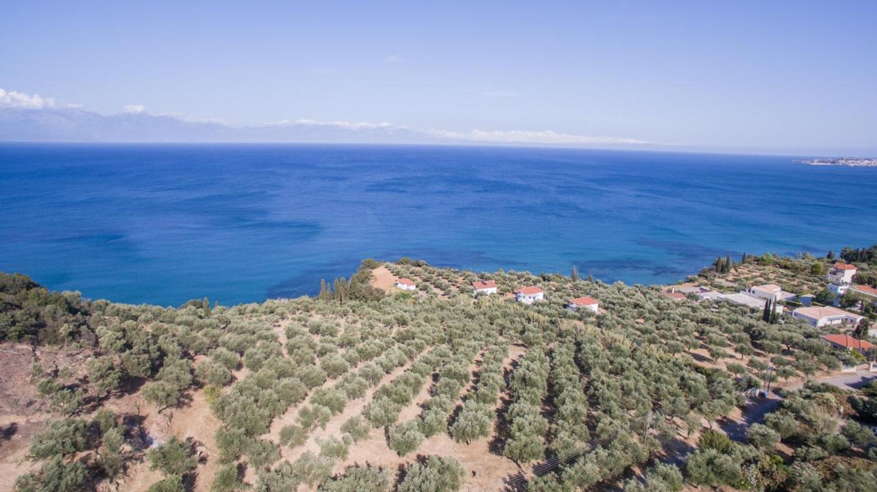 Вілла Κτήμα Παπαβασιλόπουλος 2 - Короні Екстер'єр фото